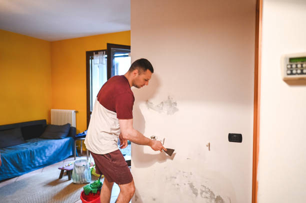 Best Local Mold Removal Service  in Indian Hills, CO